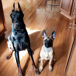 Meet your Posher, Cindy